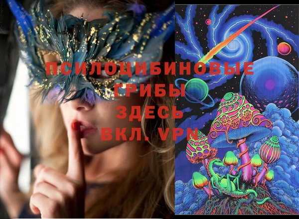 Альфа ПВП Пересвет