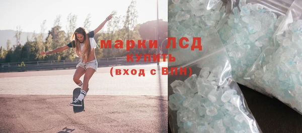 прущие грибы Переславль-Залесский
