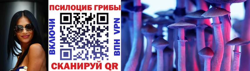 Галлюциногенные грибы MAGIC MUSHROOMS  хочу   Каменногорск 
