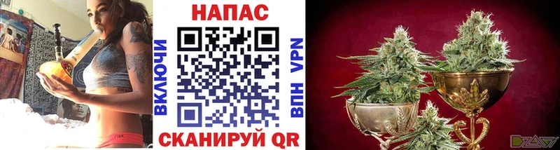 МАРИХУАНА Ganja  Каменногорск 